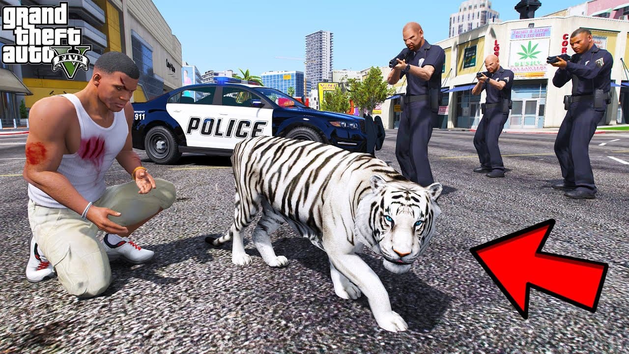 Franklin Tries to Catch a Rare White Tiger in GTA 5 | SHINCHAN and CHOP