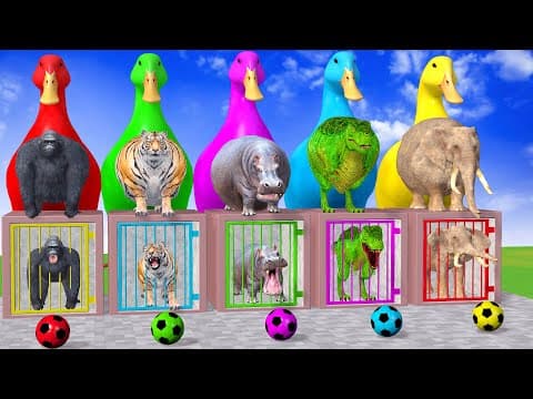 Long Slide Game With Cow Elephant Gorilla Hippopotamus Tiger - 3d Animal Game - Funny 3d Animals