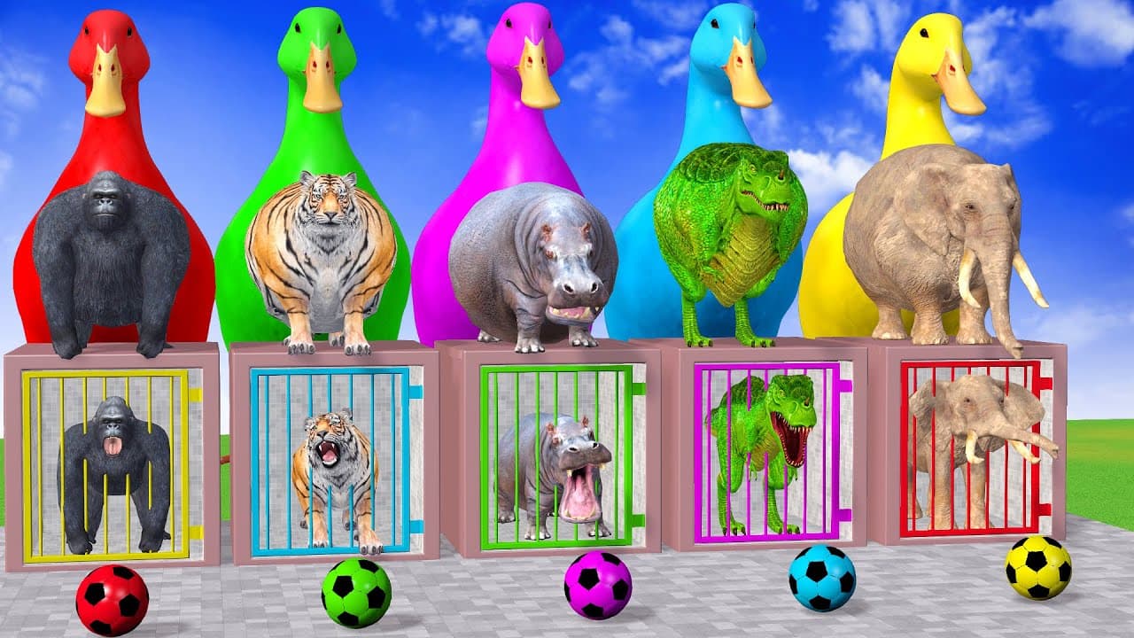 Long Slide Game With Cow Elephant Gorilla Hippopotamus Tiger - 3d Animal Game - Funny 3d Animals