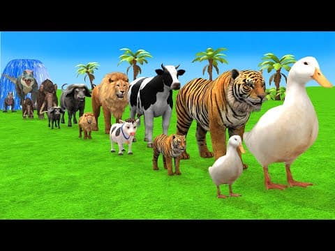 Long Slide Game With Elephant Gorilla Buffalo Hippopotamus Tiger - 3d Animal Game - Funny 3d Animals
