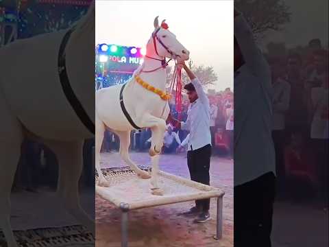 Chunni me chunni me 😱😱#shorts