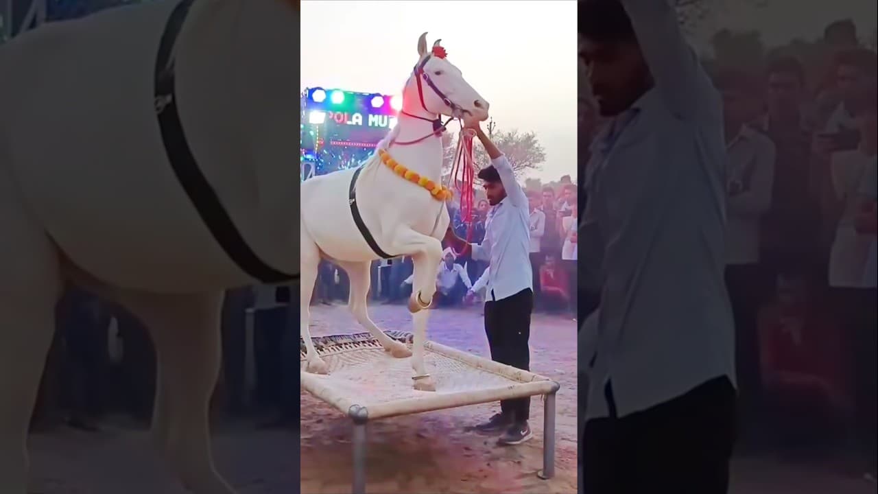 Chunni me chunni me 😱😱#shorts