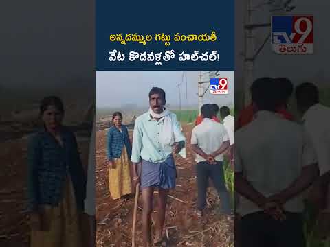 అన్నదమ్ముల గట్టు పంచాయతీ వేట కొడవళ్లతో హల్‌చల్! - TV9