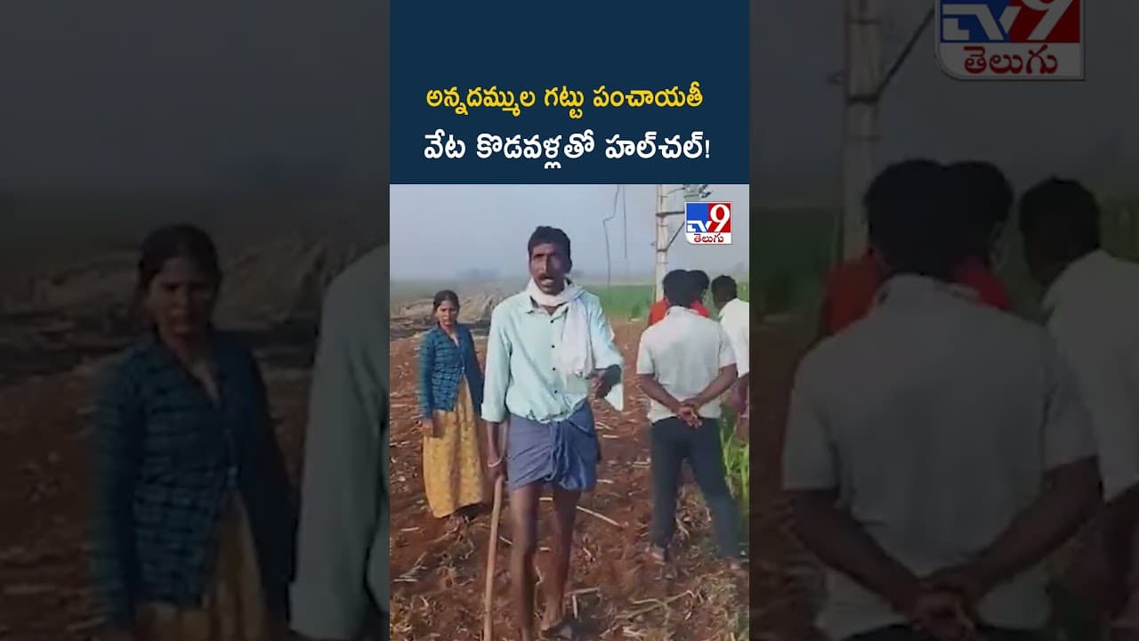 అన్నదమ్ముల గట్టు పంచాయతీ వేట కొడవళ్లతో హల్‌చల్! - TV9