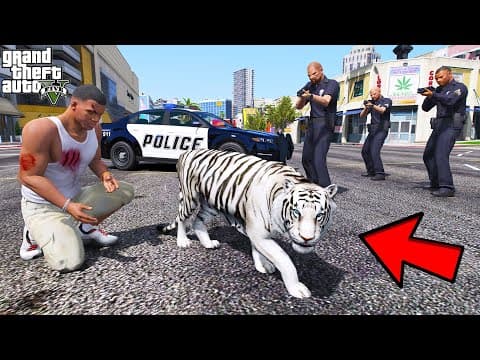 Franklin Tries to Catch a Rare White Tiger in GTA 5 | SHINCHAN and CHOP